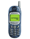 Best available price of Motorola T190 in Lebanon