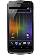 Best available price of Samsung Galaxy Nexus I9250 in Lebanon